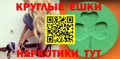 стаф Будённовск
