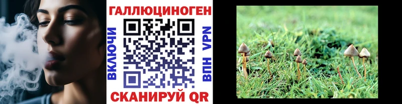 сколько стоит Железногорск Галлюциногенные грибы Magic Shrooms