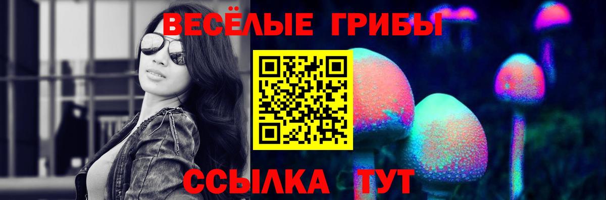 Галлюциногенные грибы мицелий  Вход с VPN  купить  цена  Железногорск 